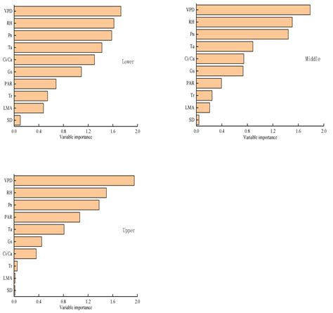 Environmental Factors at Different Canopy Heights Had Significant ...