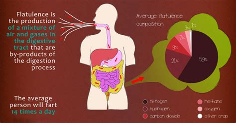 Bildergebnis für fiber that won't cause gas