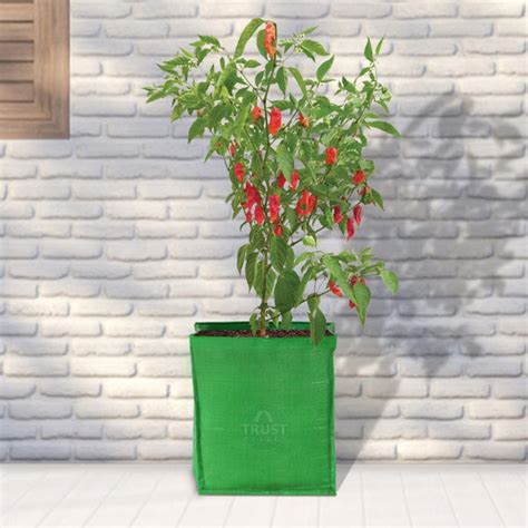 HDPE Square Grow Bag-12*12*12 – TrustBasket