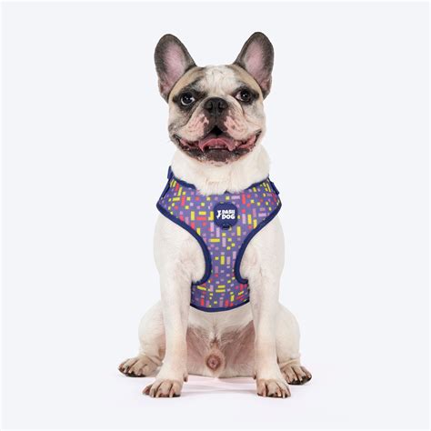 Buy Dash Dog Purple Pixel Easy Walk Harness for Dog – Heads Up For Tails
