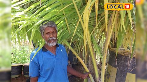 Rajavallipuram Arjuna the tree siddha who creates natural forests in ...