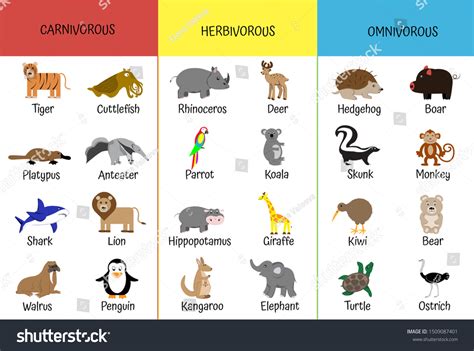 Omnivores Herbivores Carnivores Chart