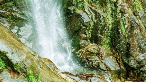 探访宜春明月山，一路上大大小小的瀑布景观，很容易让人流连忘返|宜春明月山|瀑布|明月山_新浪新闻