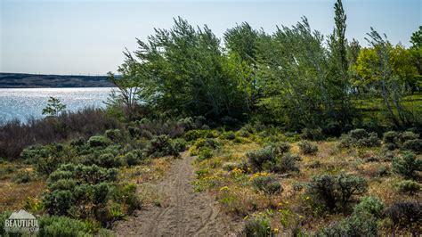 Wanapum State Park Campground