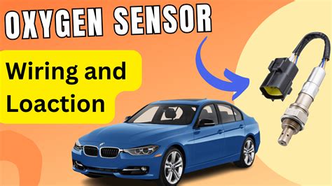 O2 Sensor Location Diagram 的图像结果