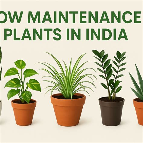 Best Gardening Tips | News and Care — Tagged "low maintenance plants ...