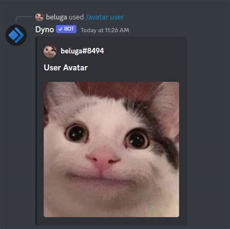 AFK Dyno Bot 的图像结果