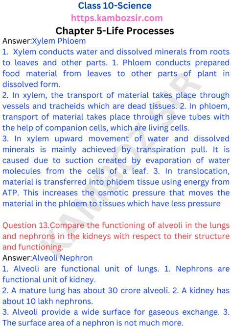 Image result for Life Process Class 5 Kind Story