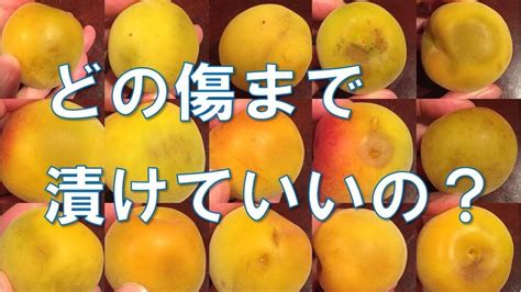 Image result for Fuctions of Algorithm