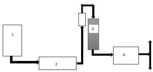 Chromatography System - Bioseparation Science Questions and Answers ...