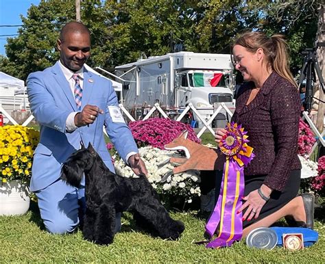 Blog Notes – small dead animals