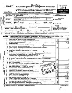 Fillable Online Return of Organization Exempt From Income Tax - Fisher ...