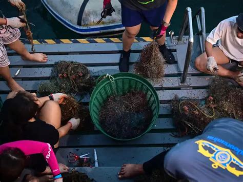 Divers fight "ghost nets" discarded from Thailand's lucrative fishing ...