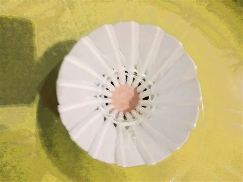 ShuttleCock Box 的图像结果