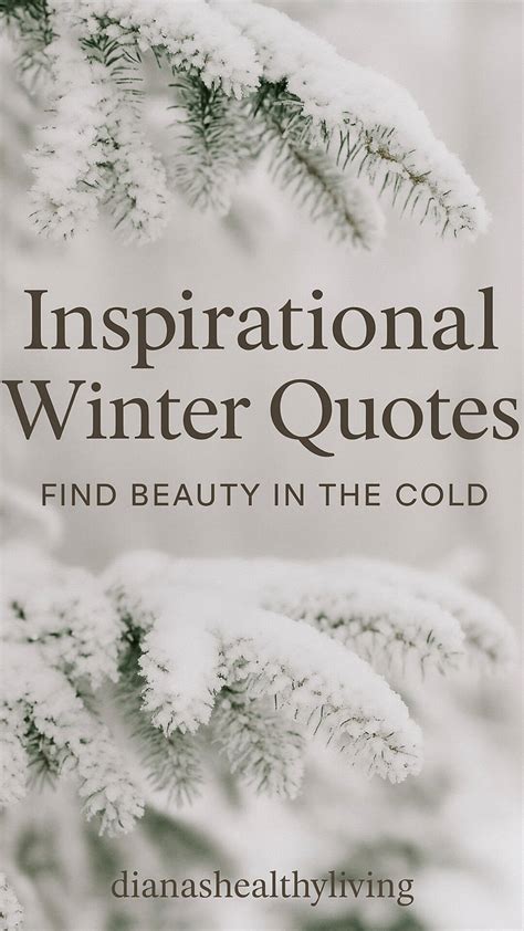 100 Winter Quotes to Warm Your Heart: Inspirational Sayings About Snow ...