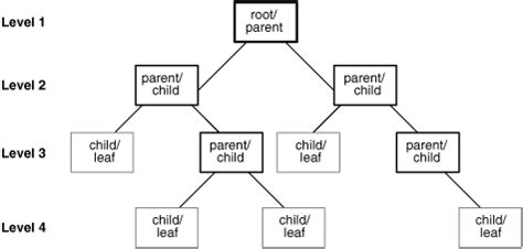 Database Management System Examples 的图像结果
