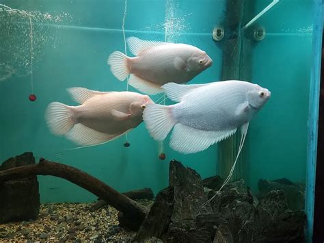 Best of 18 amusement parks in Dehradun