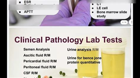 HFP Lab Test 的图像结果
