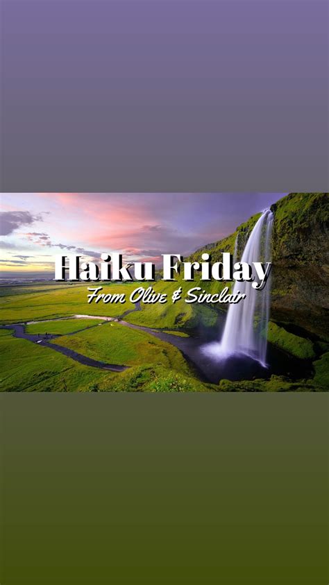 Chocolate & Confections — Olive & Sinclair Chocolate Co. | Southern ...