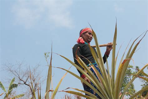 This Nepali community lives perched on a hill, always under the threat ...