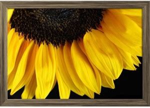Sunflower D4 Paper Poster Antique Golden Frame Paper Print - Floral ...