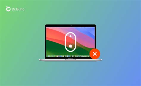 Image result for Support Mac Setup VM Mouse Not Working