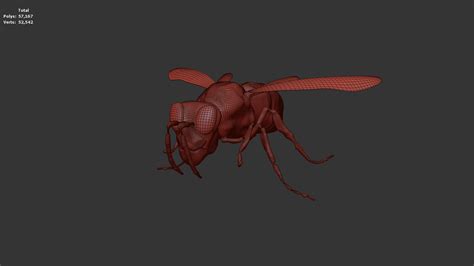 3D Wasp Drone Tutorial 的图像结果