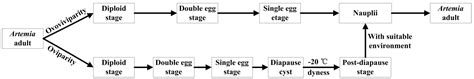 Integrating ATAC-Seq and RNA-Seq Reveals the Signal Regulation Involved ...