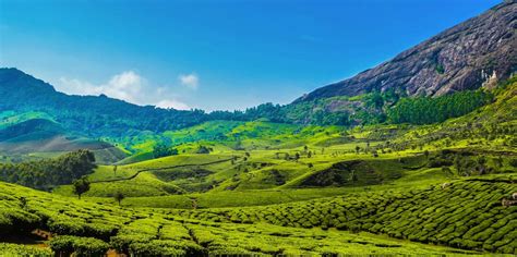 Sky King - Giving The World Sky's Best