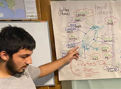 Nature Programmes 的图像结果