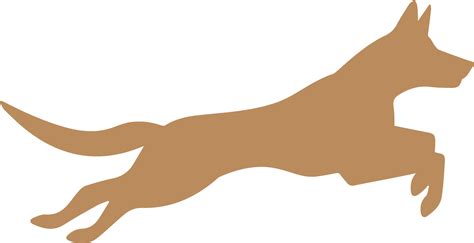 Veterinarian in Gastonia NC | Dickson Animal Clinic