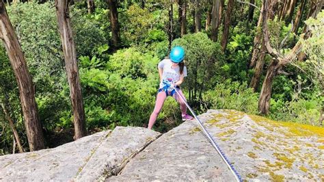 Mount Donna Buang Abseiling in Yarra Ranges National Park - Klook India