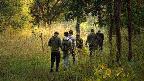 Jungle Camps India: Reviewing The Pench, Rukhad And Kanha Resorts