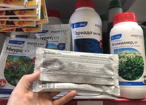 Как избавиться от сныти на участке