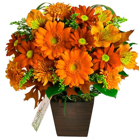 Bouquets de Flores Flores e Cestas - Bouquets de Flores