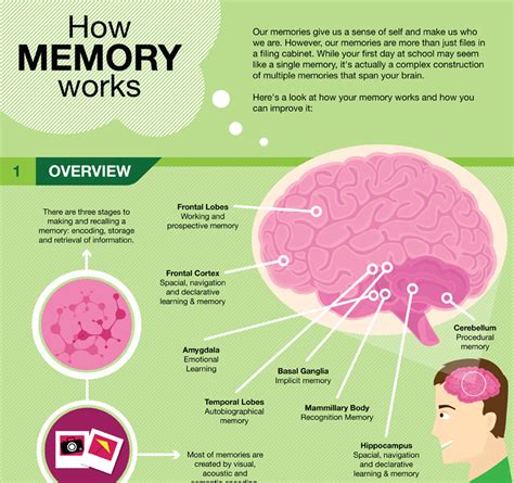 Image result for How Memory Works