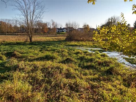 Image result for Spring Run Trout Farm