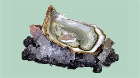 Manganese vs. Magnesium: Key Differences (and Why They Matter) - Historic Health