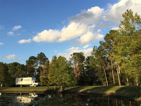 Image result for Palms Wizard Connection