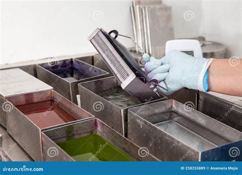 Image result for Microscope Staining