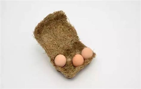 文创 | 创意鸡蛋包装设计——看看那些美丽的“蛋坚强”_搜狐文化_搜狐网