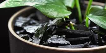 Organic soil fertilizer | Activated charcoal powder for plants | 0.5 kg ...