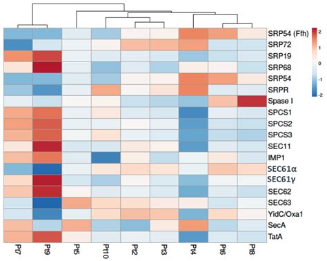 Comparative RNA-Seq of Ten Phaeodactylum tricornutum Accessions ...