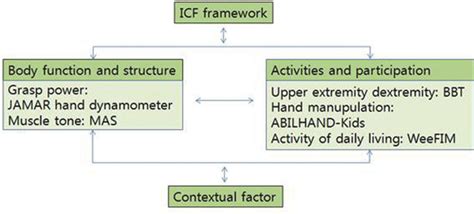 Image result for ICF Classification PDF