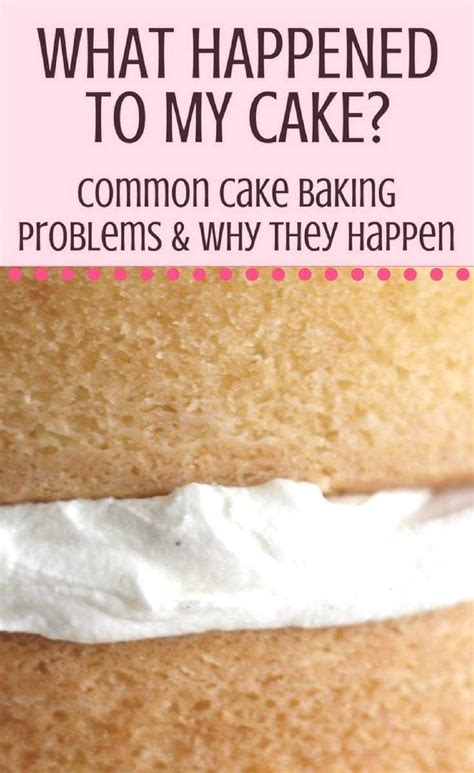 Image result for Cake Cooking Problems