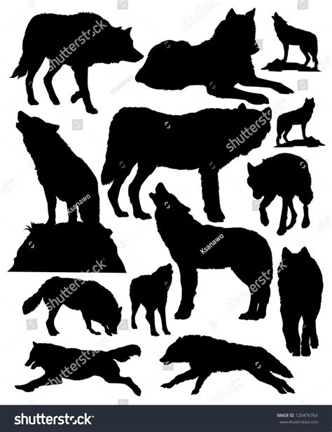 Vector Silhouettes Wolves Stock Vector (Royalty Free) 120476764 | Shutterstock