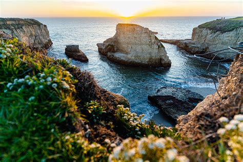 Discover the Hidden Gem: Shark Fin Cove - Where Photography and Nature ...