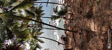 BELANTARA BEACH FRONT (Vengurla, Maharashtra) - B&B Reviews, Photos ...