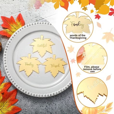 Buy 12 Pieces Thanksgiving Table Place Acrylic Fall Plates Grateful ...
