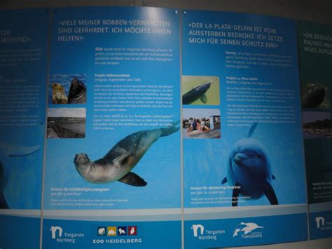 ZooLex Image - Information panels in the 'Blue Saloon'